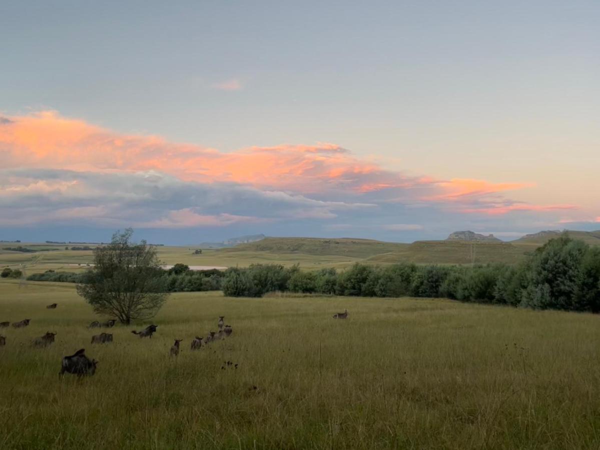 Buffalo Hills Private Game Reserve Гаррисмит Экстерьер фото