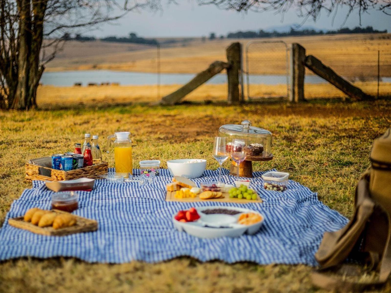 Buffalo Hills Private Game Reserve Гаррисмит Номер фото