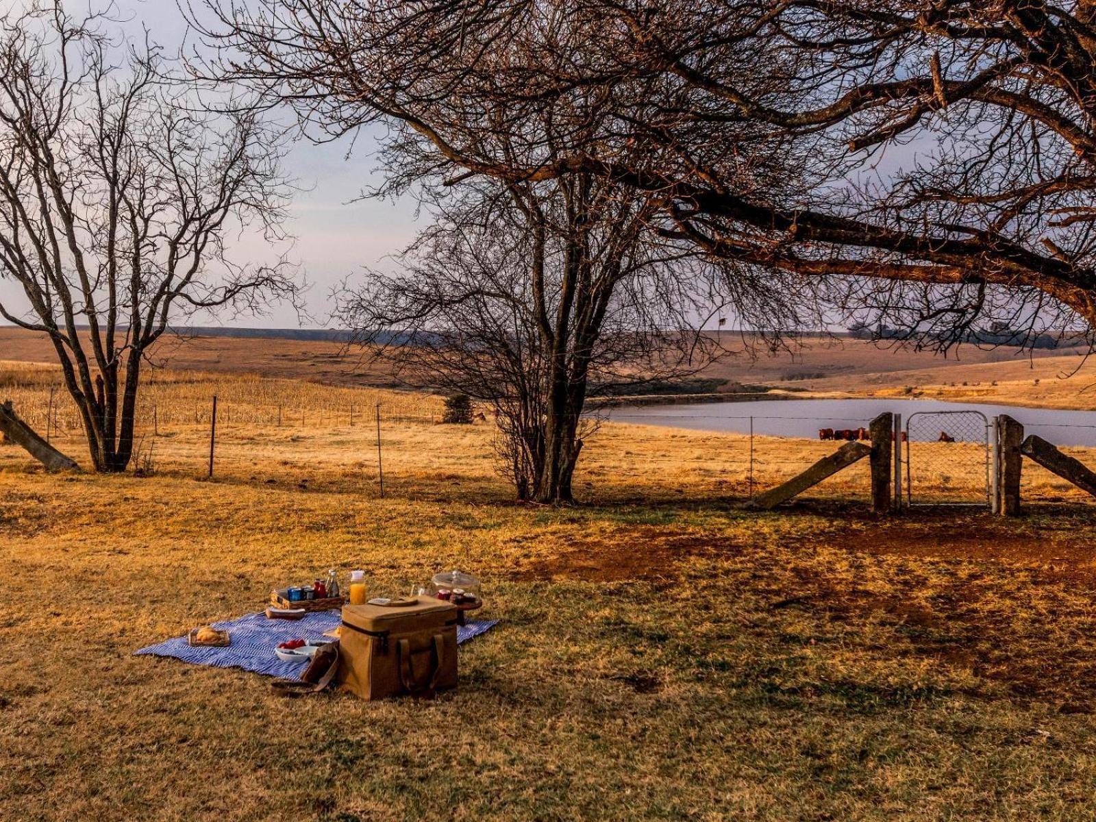 Buffalo Hills Private Game Reserve Гаррисмит Номер фото